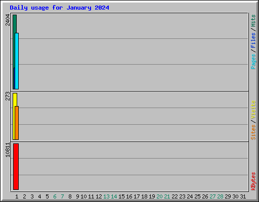 Daily usage for January 2024