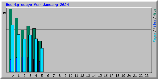 Hourly usage for January 2024