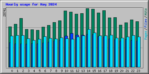 Hourly usage for May 2024