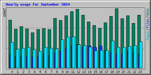 Hourly usage for September 2024