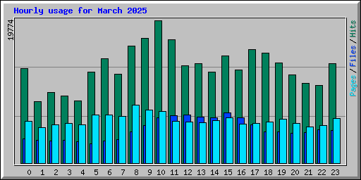 Hourly usage for March 2025