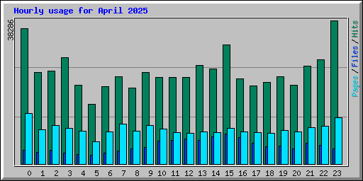 Hourly usage for April 2025