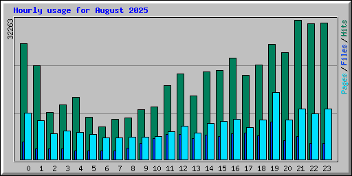 Hourly usage for August 2025